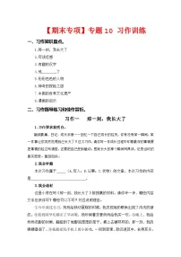 专题 10习作训练 -2023-2024学年五年级语文下册期末项复习（部编版）