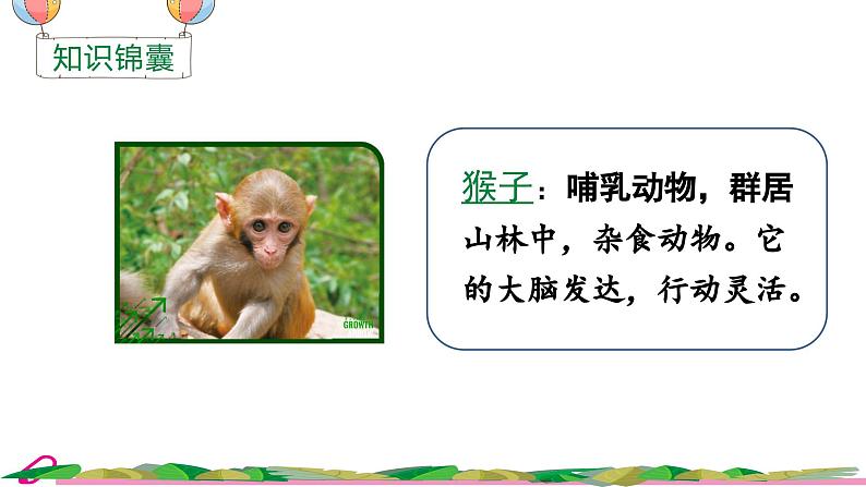统编语文一年级下册(教学课件)17 小猴子下山第2页