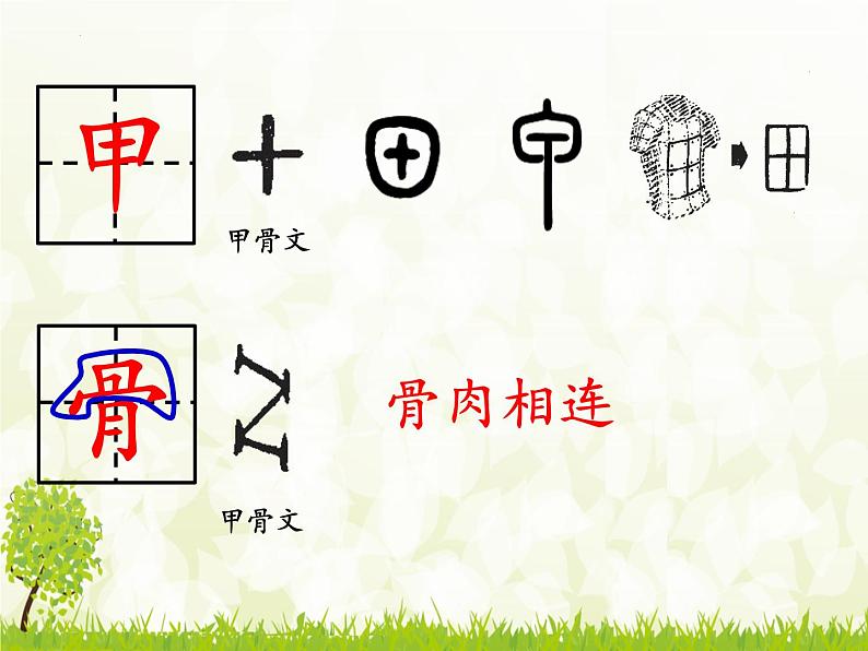 识字3《贝的故事》(课件)部编版语文二年级下册第6页