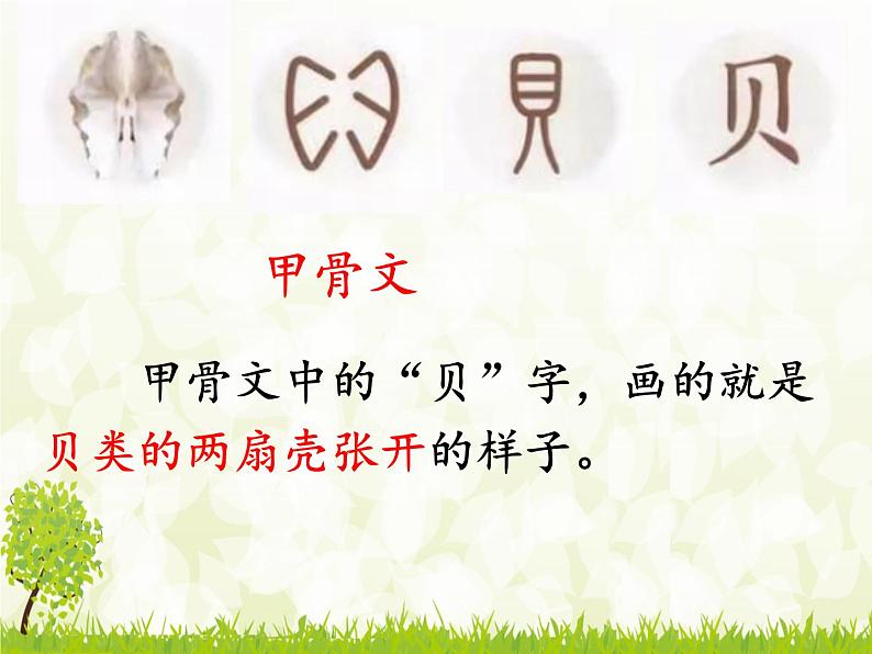 识字3《贝的故事》(课件)部编版语文二年级下册第7页