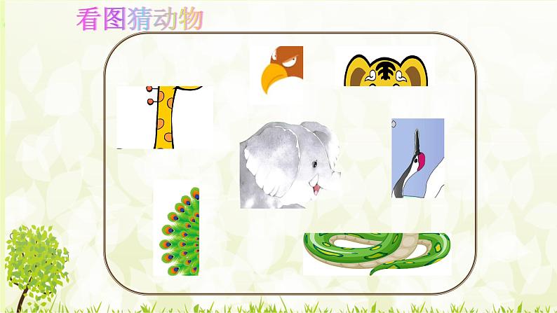 19《大象的耳朵》(课件)统编版语文二年级下册+02
