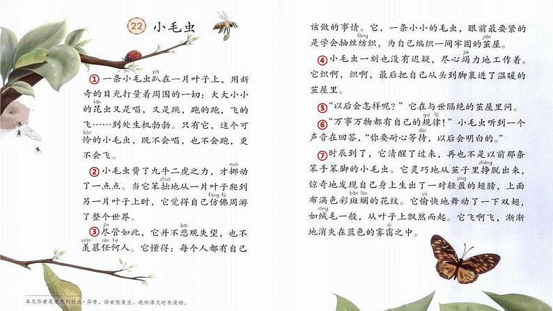 22+《小毛虫》(课件)部编版语文二年级下册第6页