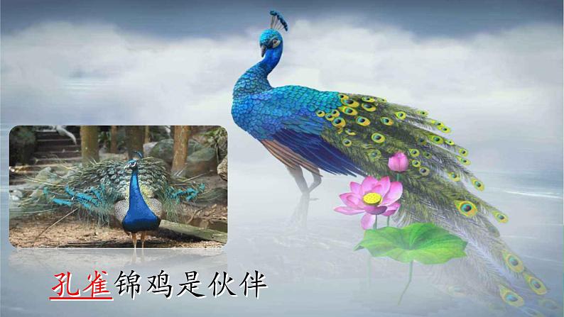 部编版语文二上第二单元 任务一 活动一:动物大集合(课件PPT+教案+导读单)04