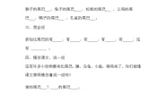 小学人教部编版比尾巴课时练习