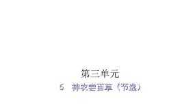 人教版小学语文五年级上册主题阅读第三单元5神农尝百草（节选）课件