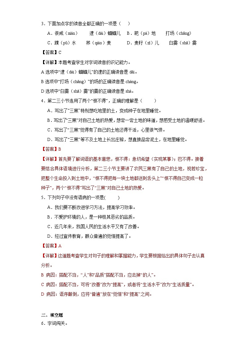 21.三黑和土地同步练习试题-2023-2024学年部编版语文六年级上册02