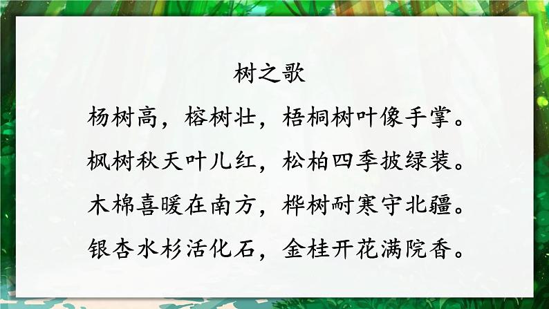 2 树之歌 课件第8页