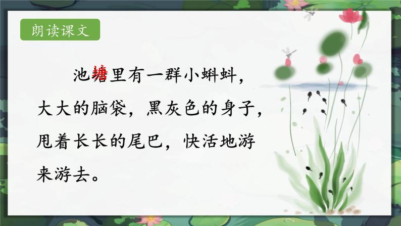 1.小蝌蚪找妈妈 课件+教案+作业06