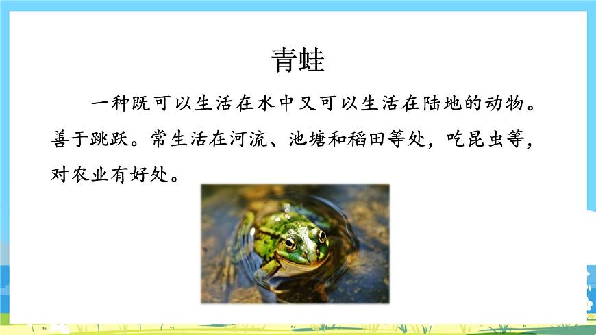 人教部編語(yǔ)文1上 7.《青蛙寫(xiě)詩(shī)》第一課時(shí)課件第3頁(yè)