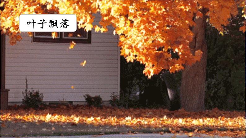 人教部编语文1上 第6单元 8.《雨点儿》 PPT课件+教案+练习07