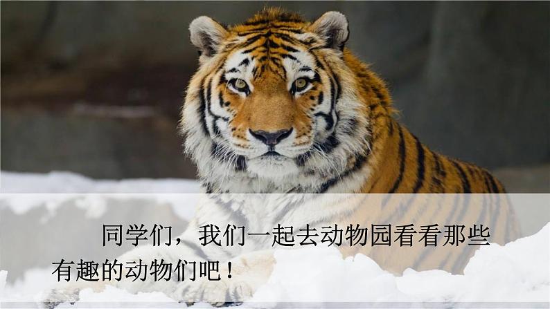 口语交际 (课件+教案+视频)02