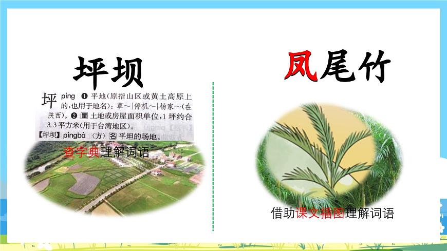 統(tǒng)編版3上語文 1.1《 大青樹下的小學(xué)》 課件第5頁
