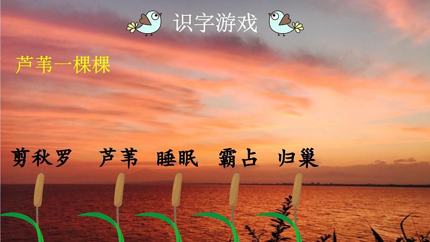 部編版四上語文 3《 現(xiàn)代詩二首》課件第8頁