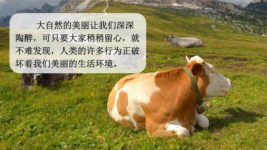 部編版四上語文《 口語交際：我們與環(huán)境》課件第2頁