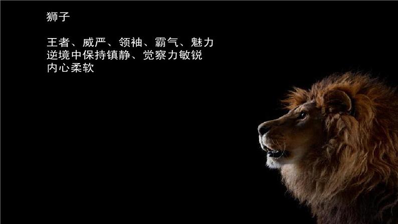 部编版四上语文 《习作:小小“动物园” 》 课件+教案03