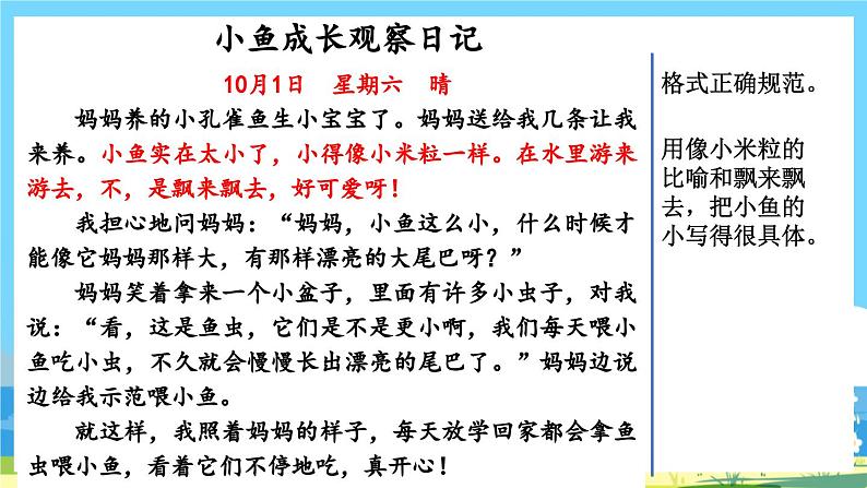 部编版四上语文 《习作:写观察日记》 课件+教案02