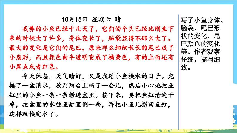 部编版四上语文 《习作:写观察日记》 课件+教案03