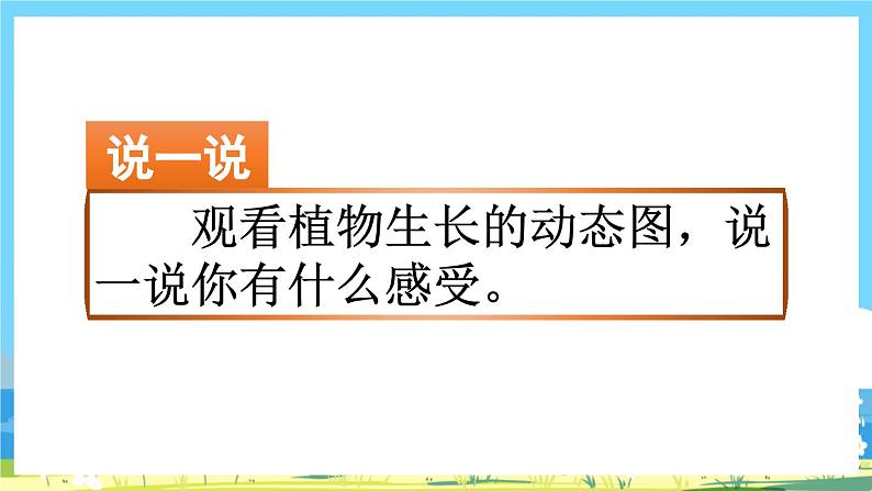 部编版四上语文 《习作:写观察日记》 课件+教案02