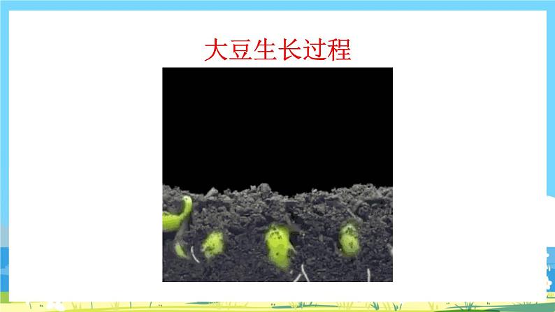 部编版四上语文 《习作:写观察日记》 课件+教案04