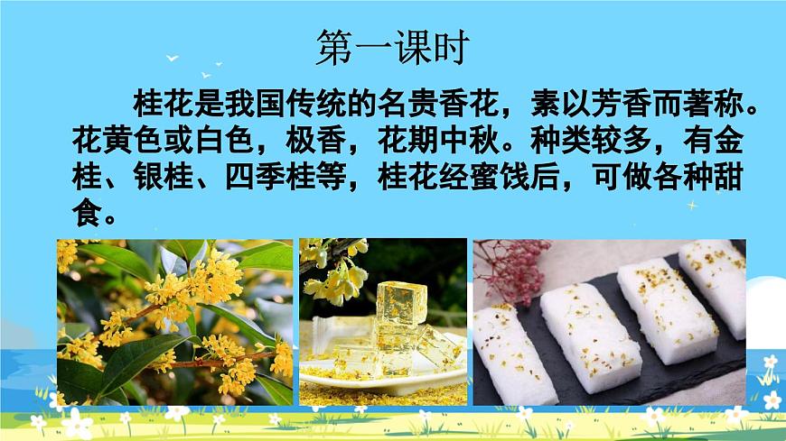 部編版五上語(yǔ)文3《 桂花雨》課件第2頁(yè)