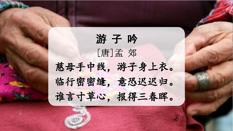 部编版五上语文 18 《慈母情深》 课件+教案+练习02