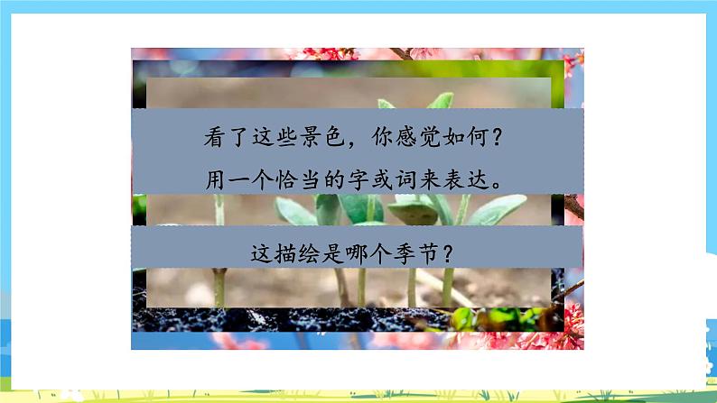 六年级上册语文(人教版)第3单元 《语文园地三》 PPT课件+教案07