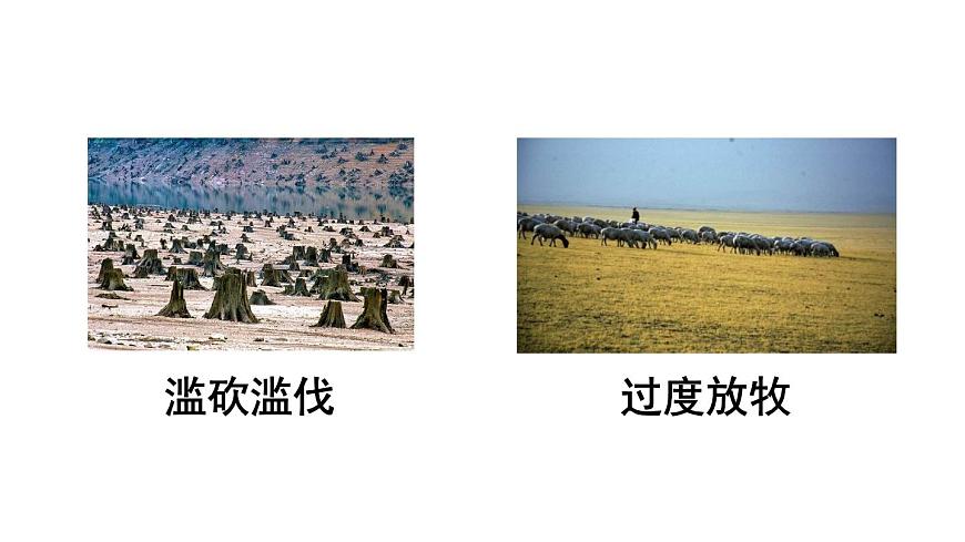 口語交際：我們與環(huán)境 課件第7頁