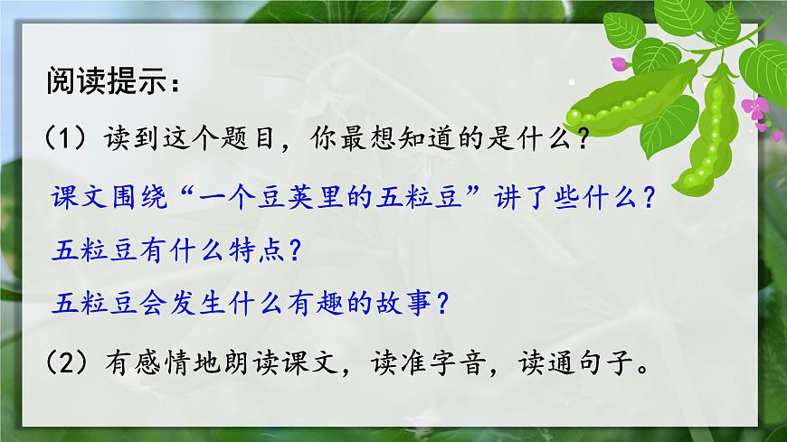 5.豆莢 課件第6頁(yè)