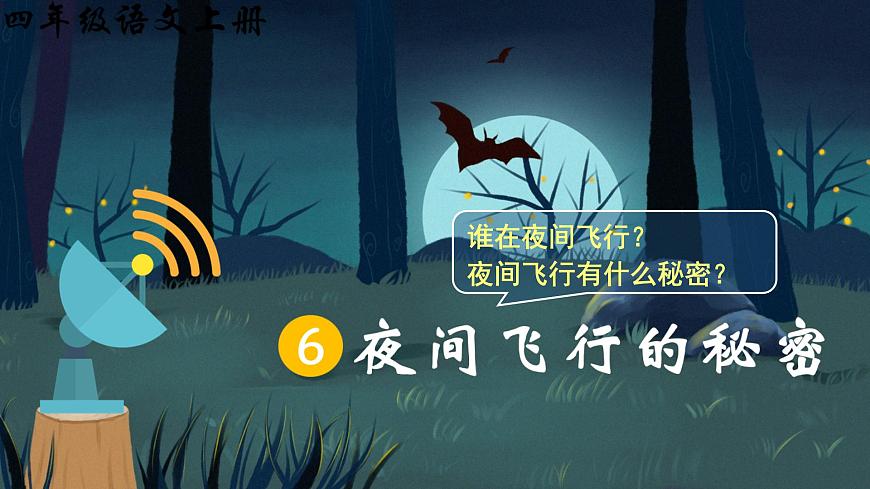 6.夜間飛行的秘密 課件第1頁(yè)