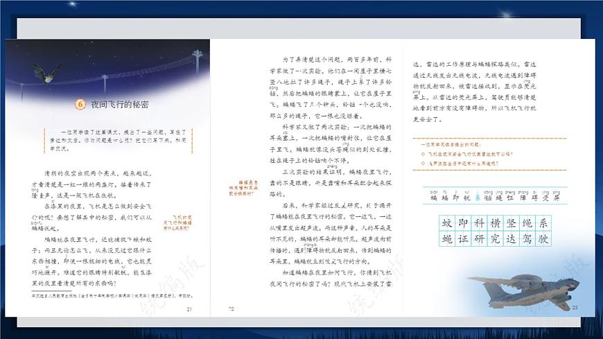 6.夜間飛行的秘密 課件第3頁(yè)