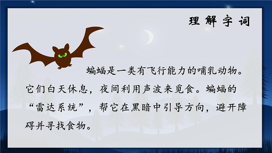 6.夜間飛行的秘密 課件第6頁(yè)