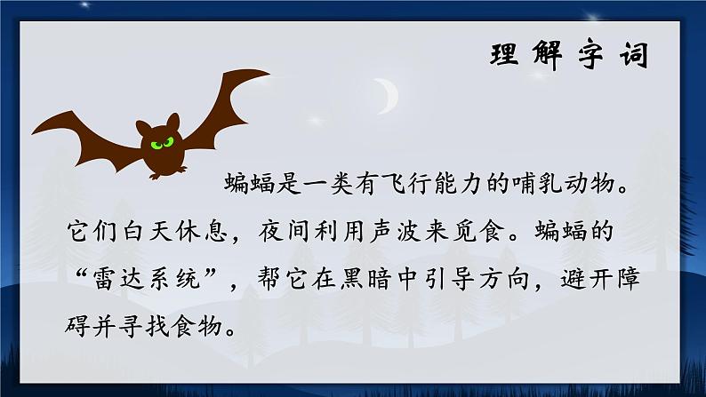 6.夜间飞行的秘密(课件+教案)06