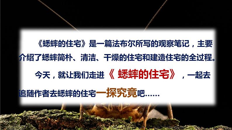 【精品备课课件】最新人教(部编版)语文四年级上册:11.蟋蟀的住宅03