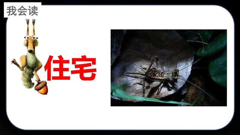 【精品备课课件】最新人教(部编版)语文四年级上册:11.蟋蟀的住宅07