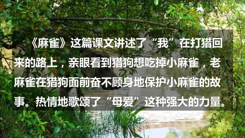 【备课课件】语文四年级上册：第五单元习作例文 我家的杏熟了vs小木船 部编版03