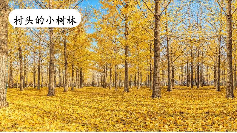 习作:推荐一个好地方PPT+音视频06