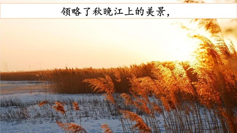 口语交际:我们与环境PPT+音视频06
