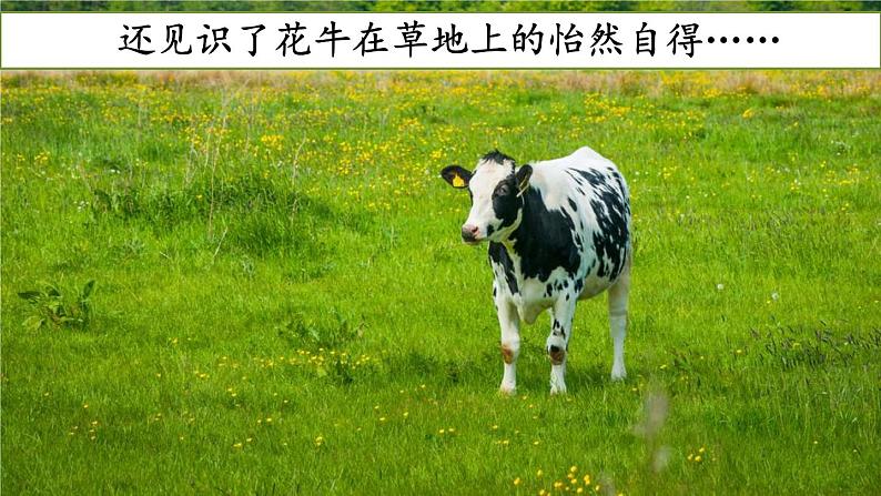 口语交际:我们与环境PPT+音视频07