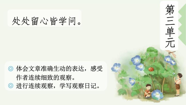 《雪梅》PPT+音视频01