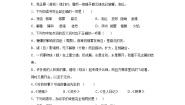 小学语文人教部编版六年级上册好的故事精品测试题