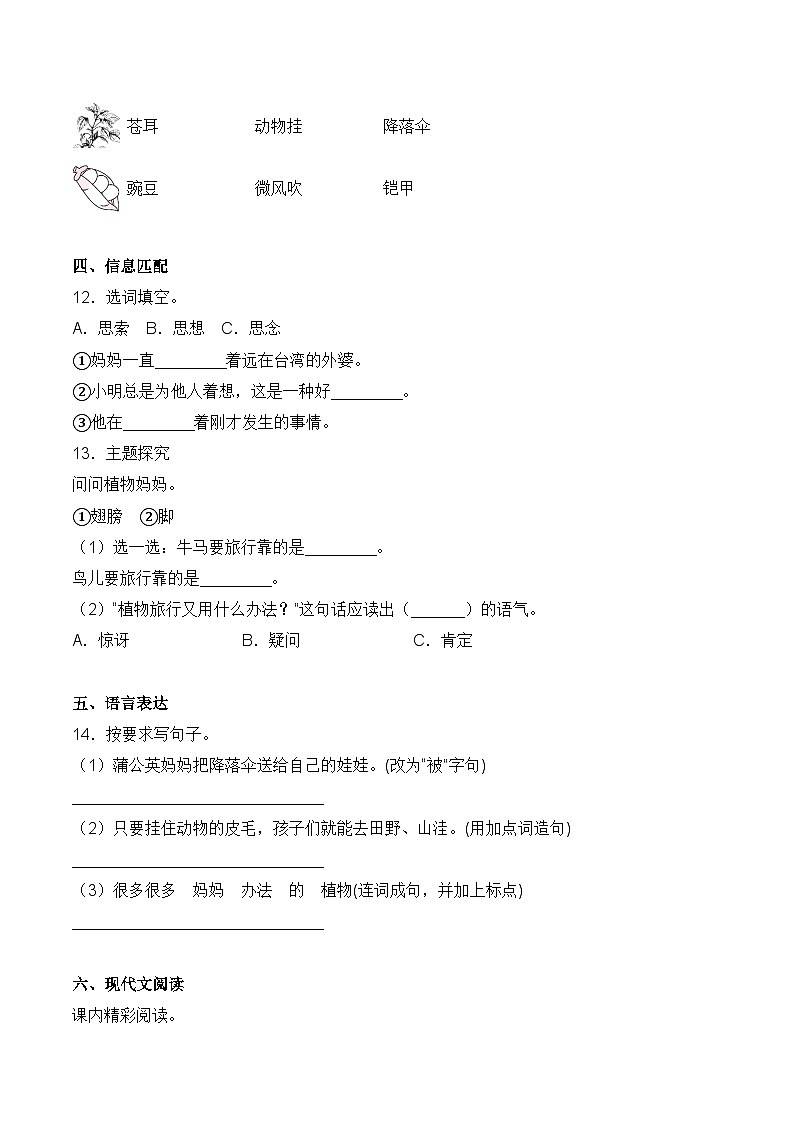 【培优导航·高效练习】二年级上册语文培优拔高一课一练-3 植物妈妈有办法(同步练习)-人教部编版(含答案)03