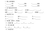 语文二年级上册纸船和风筝当堂检测题