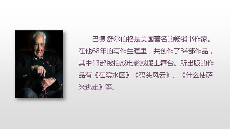 20“精彩极了”和“糟糕透了 ”(课件)人教部编版五年级上册语文第3页