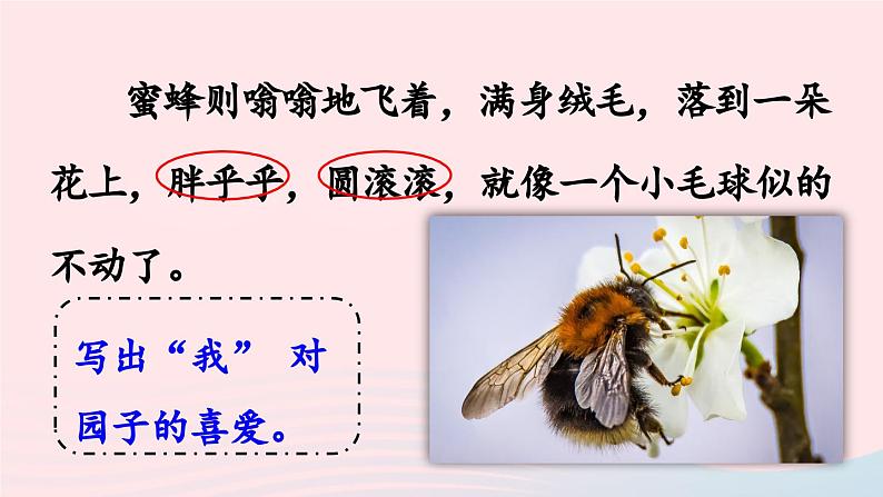 2023五年级语文下册第1单元2祖父的园子第2课时课件新人教版第4页