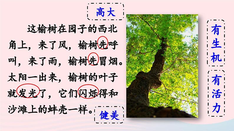 2023五年级语文下册第1单元2祖父的园子第2课时课件新人教版第6页