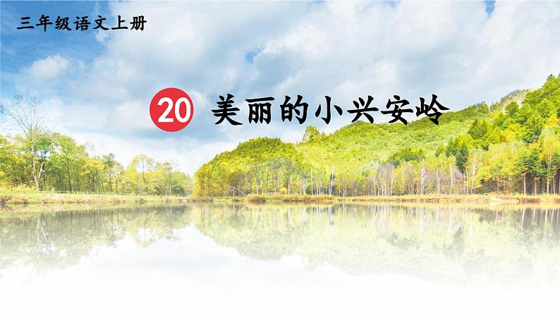 部编版语文三上 20 美丽的小兴安岭(课件+教案+音视频素材)05