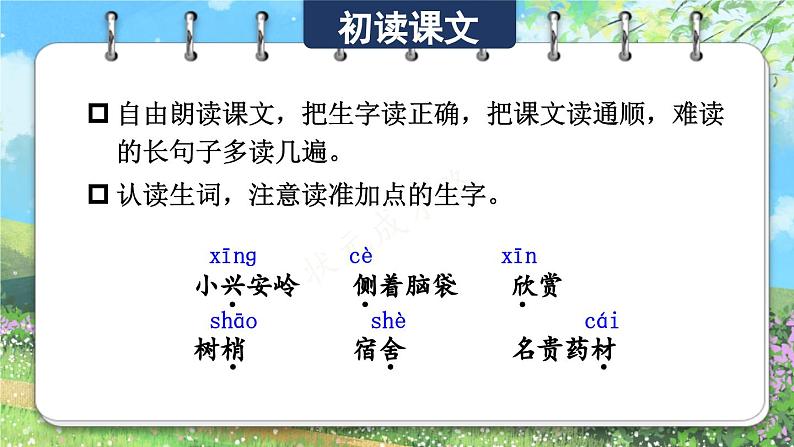 部编版语文三上 20 美丽的小兴安岭(课件+教案+音视频素材)06