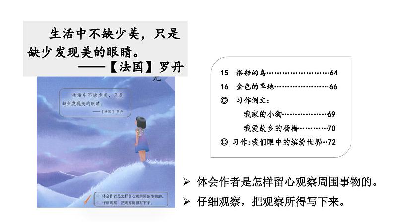 小学语文部编版三年级上册第15课《搭船的鸟》课件(2023秋新课标版)02