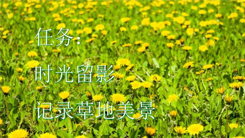 小学语文部编版三年级上册第16课《金色的草地》课件(2023秋新课标版)第1页