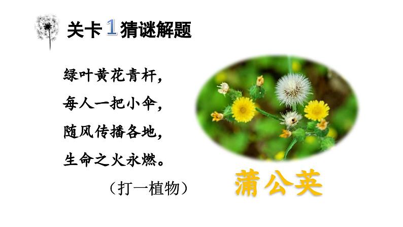 小学语文部编版三年级上册第16课《金色的草地》课件(2023秋新课标版)第4页
